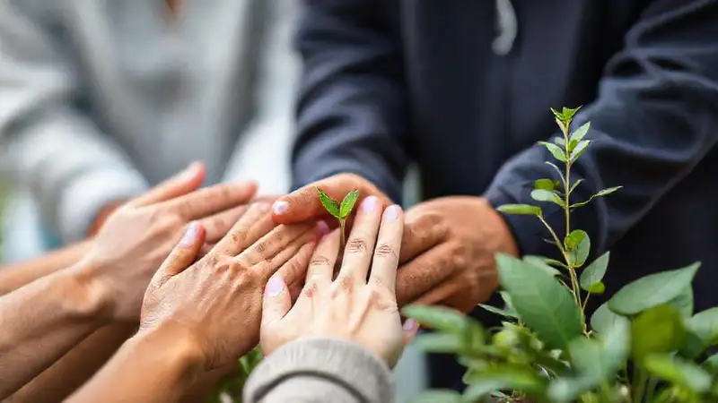 Voluntarios construyen una comunidad sostenible y esperanzadora
